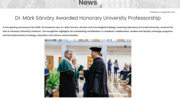 Honorary professorship