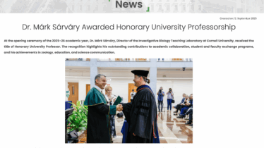 Honorary professorship